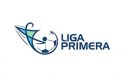 Logotipo de Primera Division