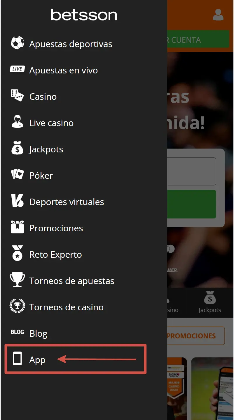 Aplicación Betsson en la página web oficial